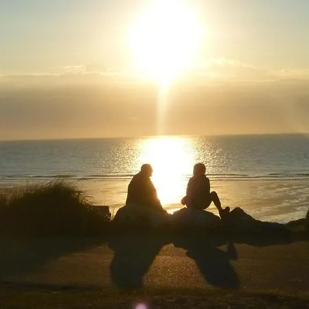 Sunlit Near The Beach In