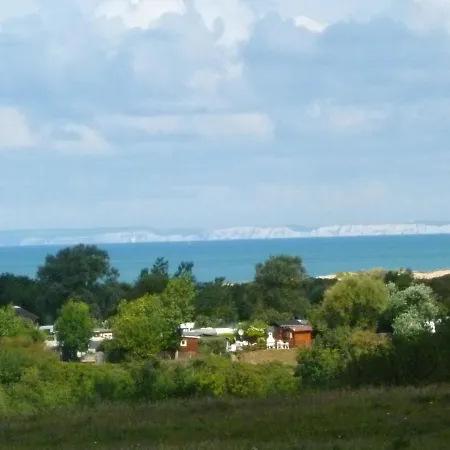 Sunlit Near The Beach In *