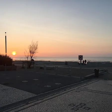 Sunlit Near The Beach In Wissant